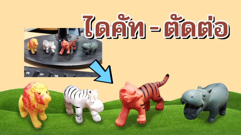 ไดคัท & Photoshop - ลบพื้นหลัง ไดคัท ตัดต่อภาพ ด่วน - 5