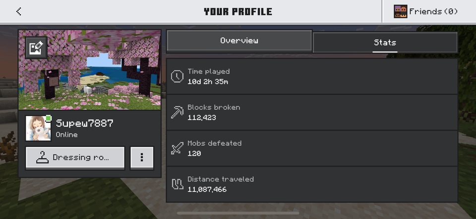 รับจ้างเล่นเกม - เล่นเกมเป็นเพื่อน - 4