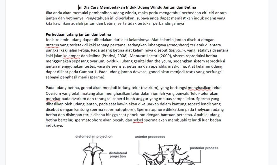 Penulisan Konten - Jasa Tulis Artikel Sesuai Trending Google dan SEO - 3