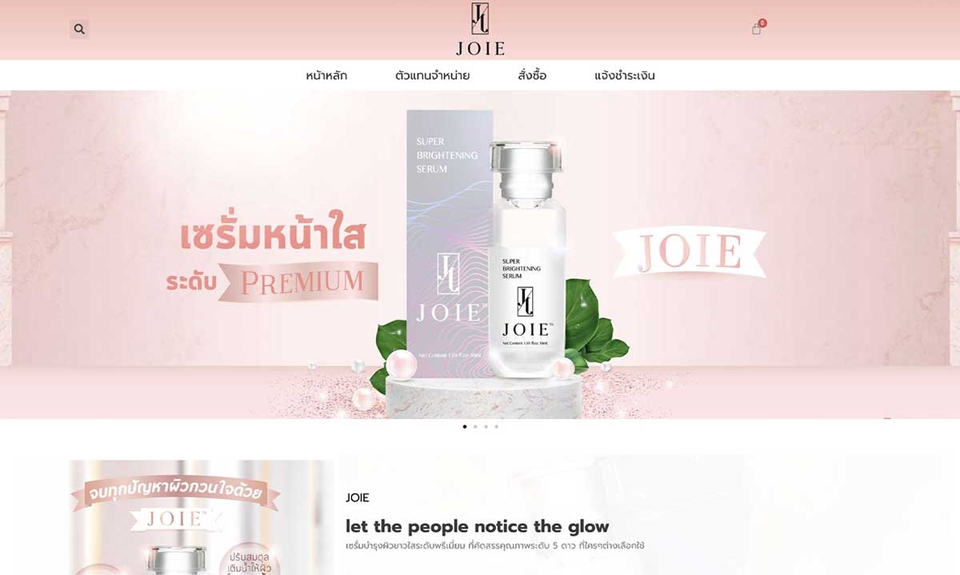 Web Development - รับพัฒนาเว็บไซต์ร้านค้าทั่วไป เป็นระบบร้านออนไลน์ Ecommerce - 2