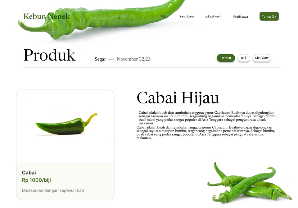 Jasa desain web profesional untuk pembuatan website toko online dengan desain modern dan mudah digunakan.