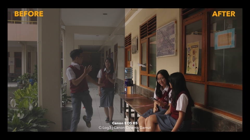 Video Editing - Color Grade Video Kamu! - 8
