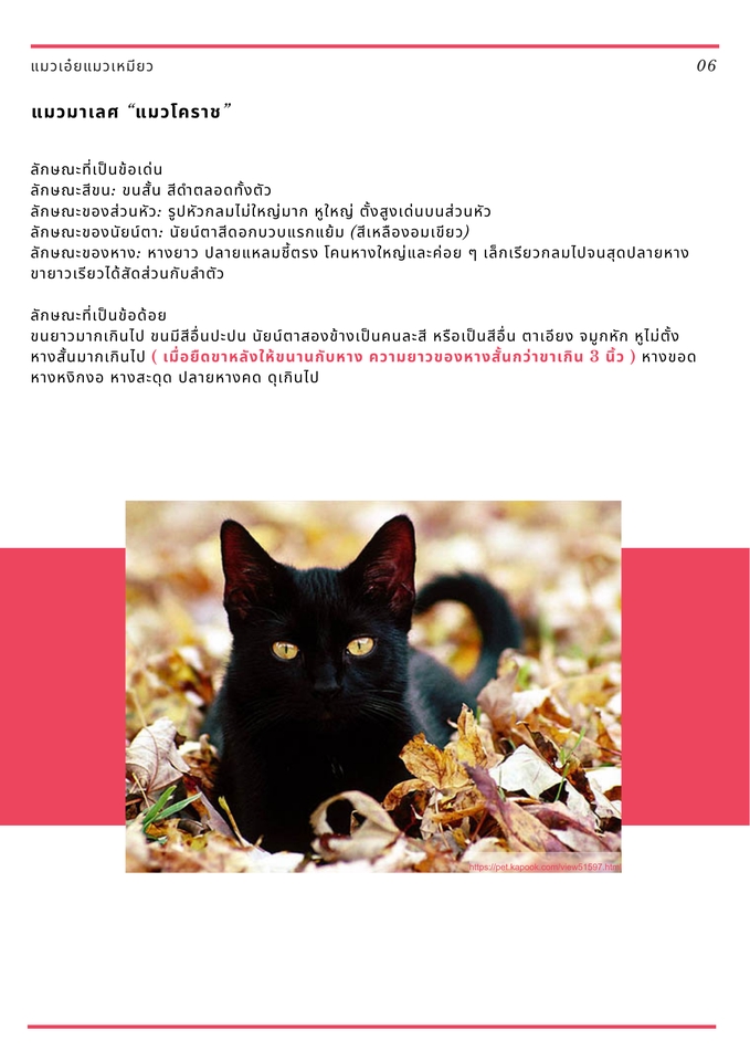 รับพิมพ์งาน พิมพ์เอกสาร รับคีย์ข้อมูล รับทำรายงาน งานวิจัย รับจัดรูปเล่มงานวิจัย รับบริการจัดฟอแมตเอกสาร