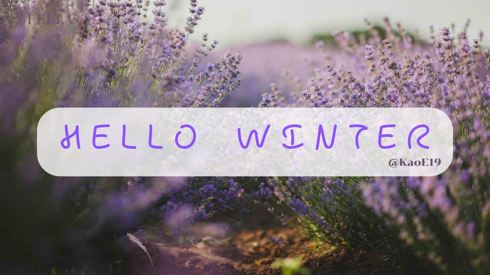 สื่อสิ่งพิมพ์และนามบัตร - รับออกแบบโลโก้ สื่อสิ่งพิมพ์ นามบัตร สื่อประชาสัมพันธ์ - 4