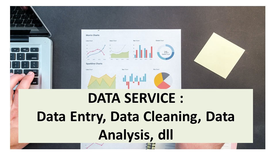 Entri Data - Data Service : Data Entry, Data Cleaning, Data Analysis, dll (Ms Word dan Ms Excel) - 1