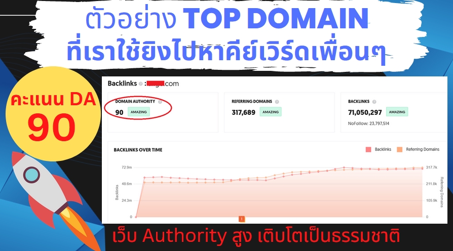 ทำ SEO - รับทำ SEO เว็บไซต์ขั้นสูง สูตรแรงการันตรี Google ชอบ ด้วยสูตรทำลิงก์ใหม่ AntiSpamBrain - 12