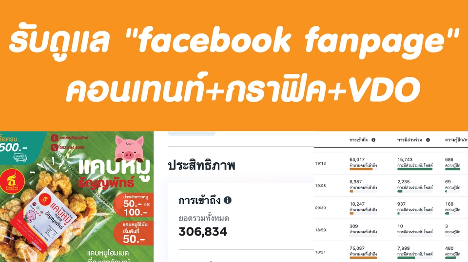 แอดมินดูแลเพจ เว็บไซต์ และร้านค้าออนไลน์ - รับดูแล "facebook fanpage" + คอนเทนท์+กราฟิค - 1