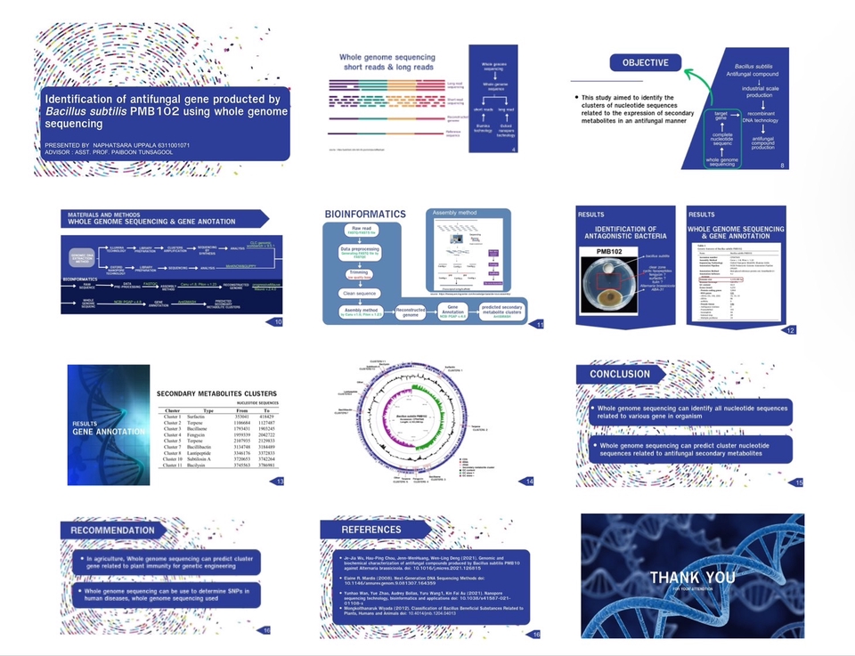 Presentation - รับทำ Presentation ทุกรูปแบบ - 3