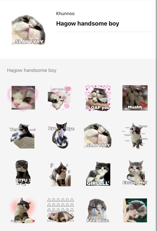 ออกแบบ LINE Sticker - รับทำสติกเกอร์ไลน์จากรูปถ่าย รูปตัวเอง สัตว์เลี้ยง หรือคนที่คุณรัก - 4