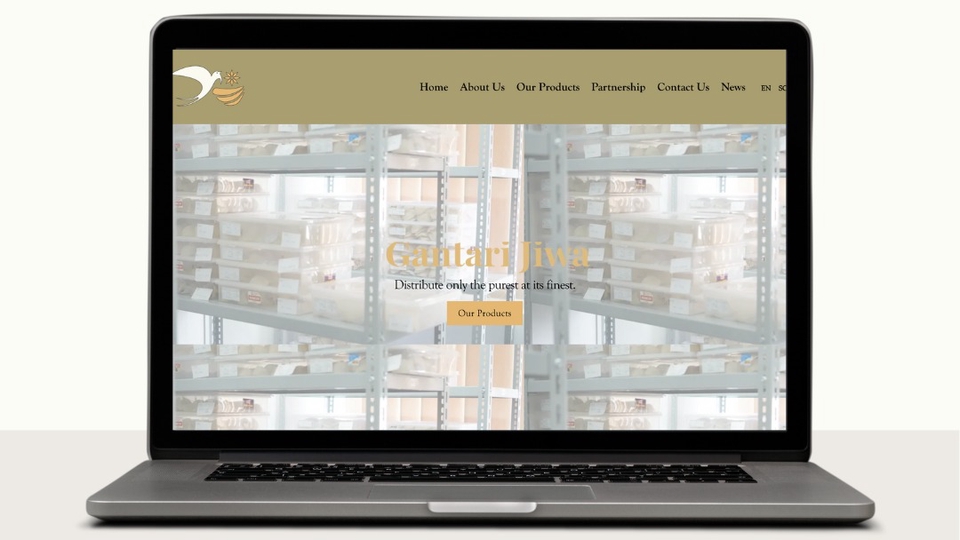 Website Designer and Developer Harga Terjangkau dan Berkualitas