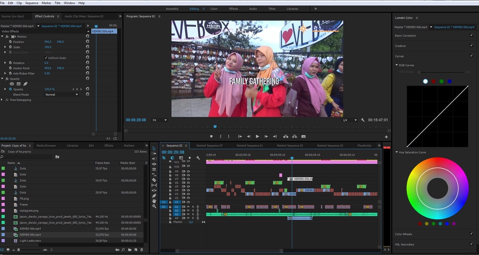 Video Editing - Editing Video Profesional (Youtube/Instagram, Wedding/Engagement, Event, Promosi, Profile dll) - 4
