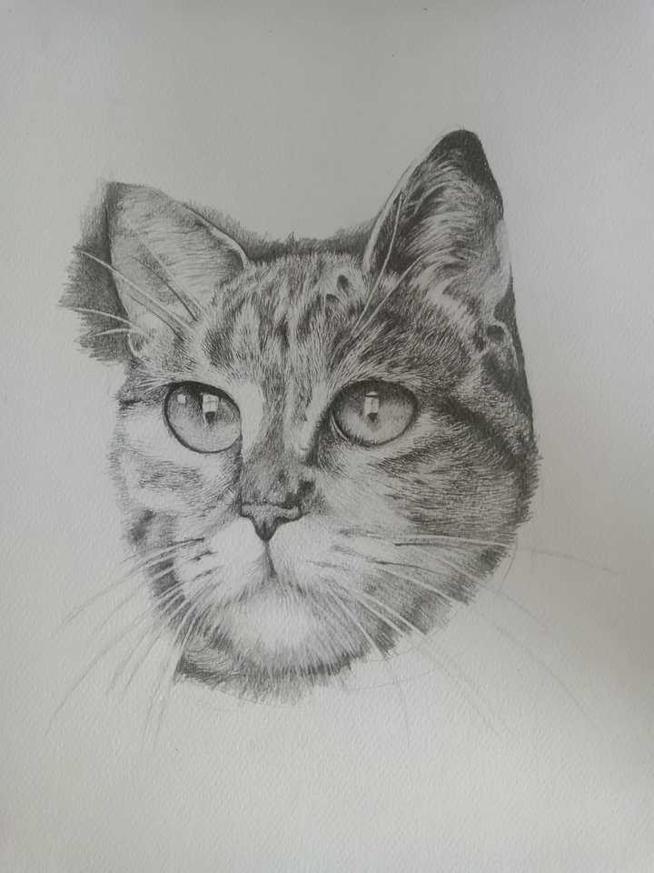 วาดภาพเหมือน Portrait - วาดภาพPortraitขาวดำบนกระดาษ - 3