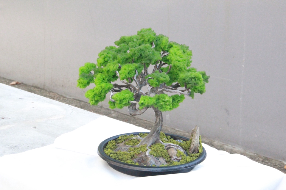 Art & Craft - บอนไซประดิษฐ์ - 7