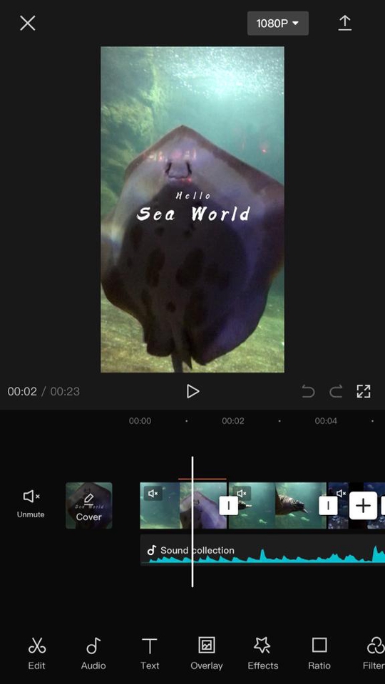 Video Editing Untuk Keperluan Konten (IG Reels/Tiktok/Youtube (mini