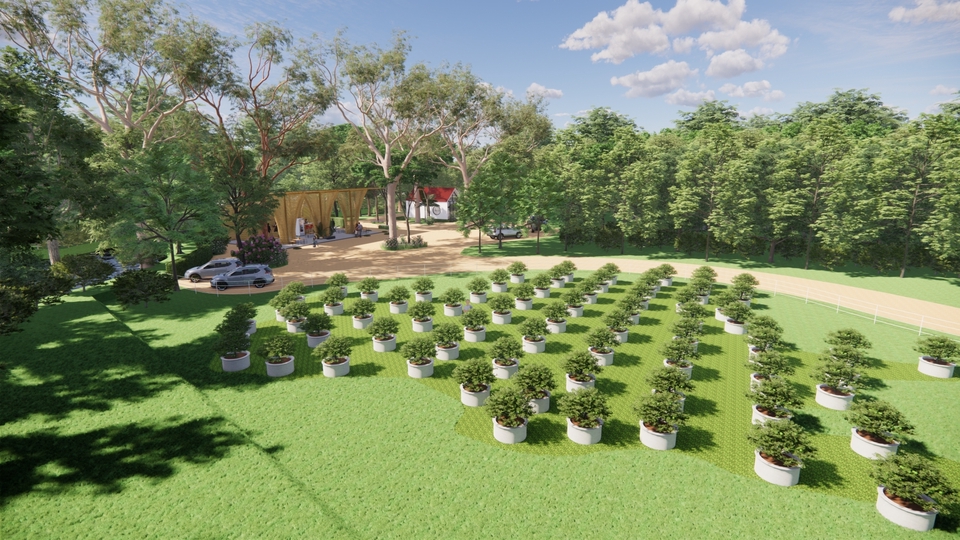 ทำโมเดล 3D - โมเดล 3D สำหรับวางผังพื้นที่เกษตร พื้นที่สีเขียว งานฟาร์มบนดาดฟ้า ฟาร์มคาเฟ่ - 9