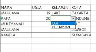 Entri Data - Entri data cepat, akurat dan teliti  - 5