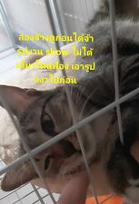 รับทำเว็บไซต์ขายของออนไลน์ สร้างเว็บ e-commerce