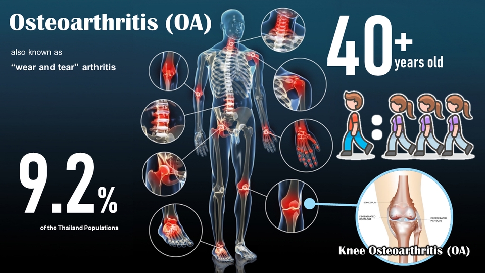 Presentation - Powerpoint Presentation / สไลด์พาวเวอร์พอยท์ น่ารัก น่าสนใจ - 12