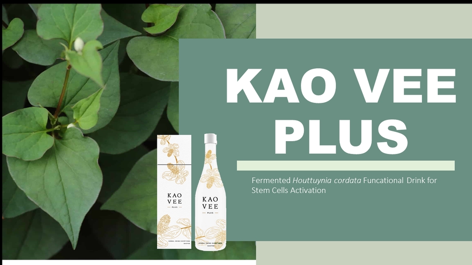 Presentation - รับออกแบบดีไซน์ Powerpoint ทุกรูปแบบ - 7