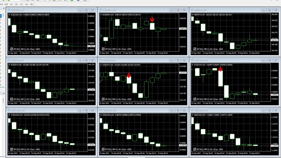 เขียน EA - รับเขียน indicator ระบบเทรด Iq option Binary option สัญญาณจาก mt4/mt5/tradingview - 1