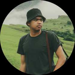 desmin99