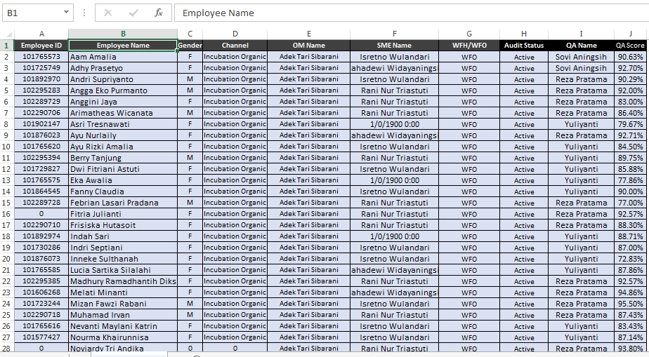 Entri Data Excel