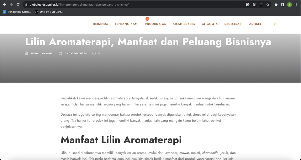 Penulisan Konten - SEO Content Writer - 5