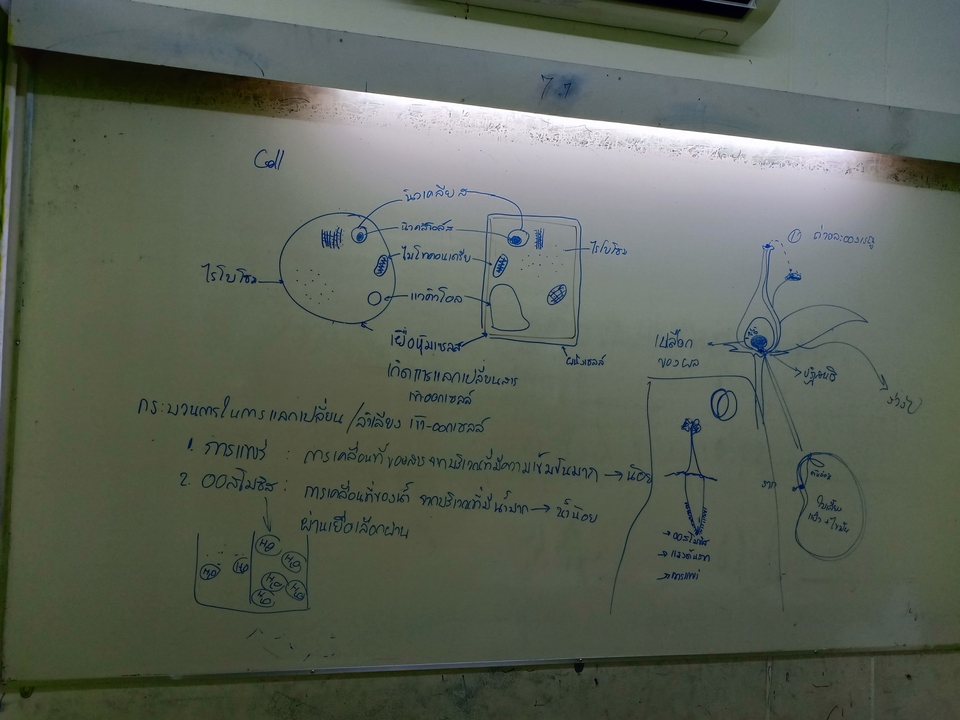 ผู้เชี่ยวชาญให้ความรู้เฉพาะด้าน - สอนพิเศษวิทยาศาสตร์ ม.ต้น - 2