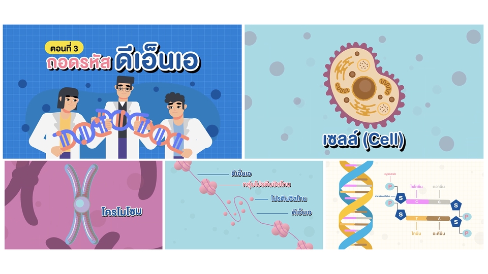 Motion Graphics - Motion Graphic | Motion Ads | 2D Animation | Intro - 4