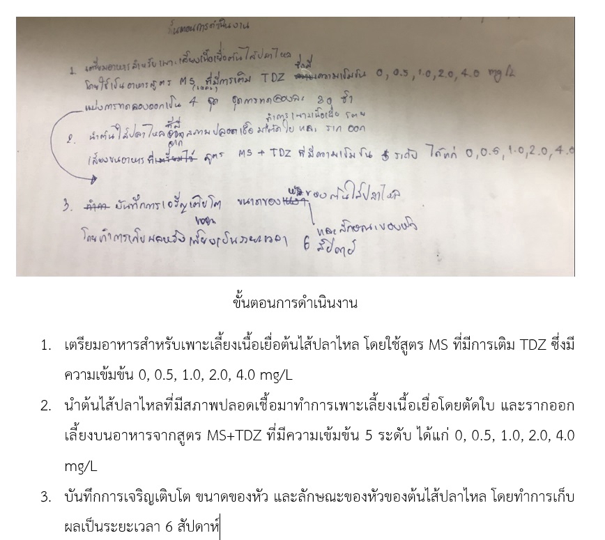 พิมพ์งาน และคีย์ข้อมูล -  รับพิมพ์งานภาษาไทย-อังกฤษ เอกสารทุกชนิด งานคีย์ข้อมูล  - 5