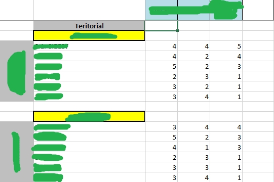 Jasa data entry online dengan excel dan grafik yang menunjukan hasil pekerjaan data entry.