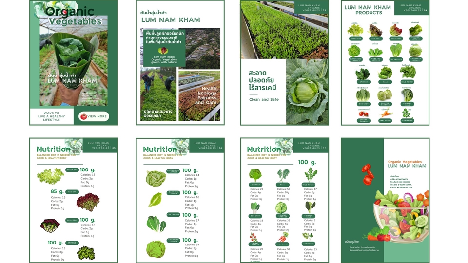 Presentation - รับทำ Presentation, Infographic ใน PowerPoint และ Canva - 5