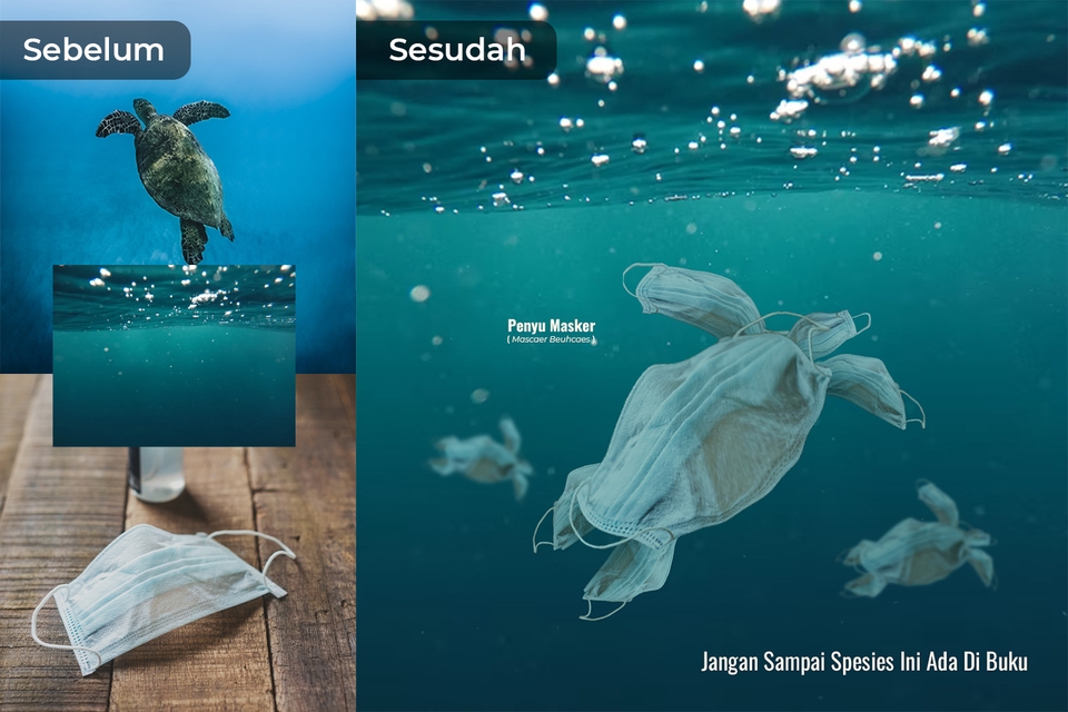 Edit Gambar & Photoshop - Edit Gambar ( Hapus Background, Potong Gambar, Manipulasi Gambar ) - 12