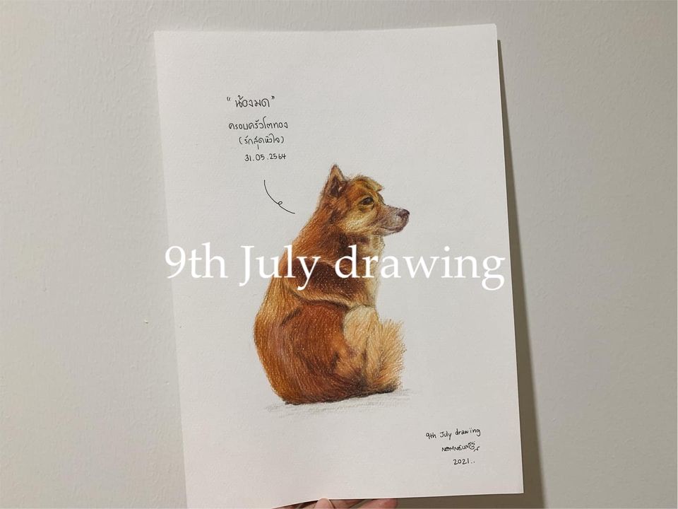 วาดภาพเหมือน Portrait - 9th July drawing : รับวาดภาพเหมือนสัตว์เลี้ยงตามสั่ง ภาพเหมือนสีไม้ - 12