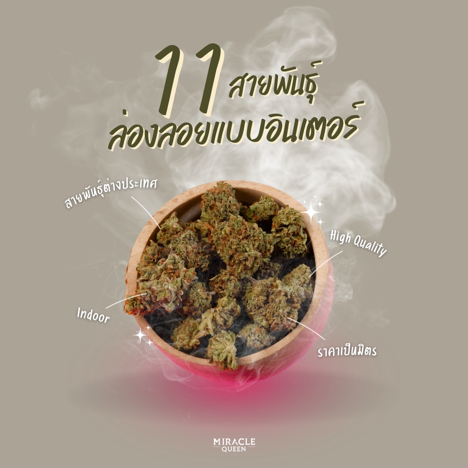 Banner โฆษณา - Logo / Banner Ads / สินค้า และอื่นๆ - 22
