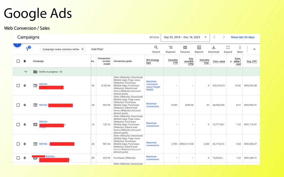 Digital Marketing - Paid Marketing Channel Optimization (META, Google, and TikTok Ads) & Ecommerce Ads - 5