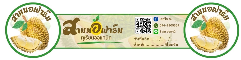 Logo - ออกแบบโลโก้ - 5