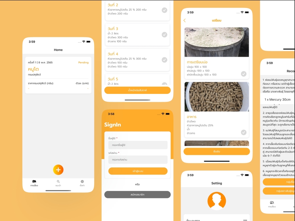 UX/UI Design for Web & App - UX/UI Designer ออกแบบหน้า Website, Mobile App - 5
