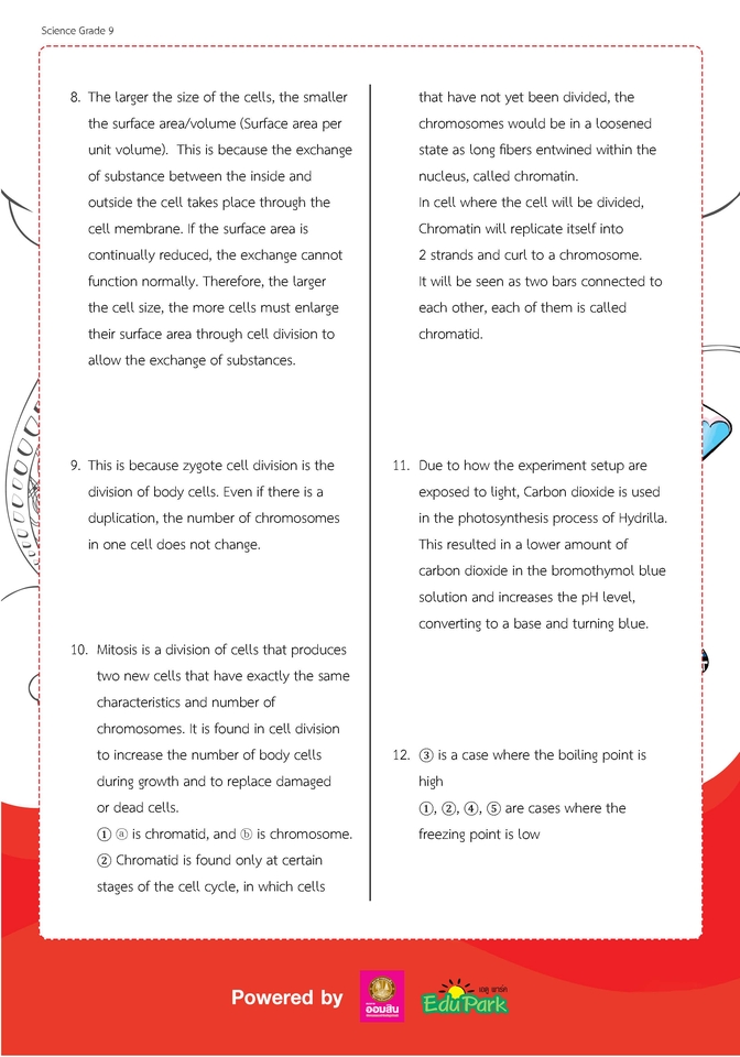 แปลภาษา - แปลภาษา ไทย - อังกฤษ  - 4