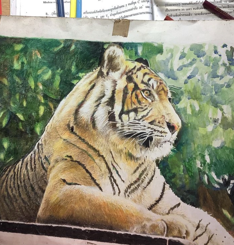 วาดภาพเหมือน Portrait - วาดภาพสีไม้ portrait คน สัตว์ ธรรมชาติ - 5