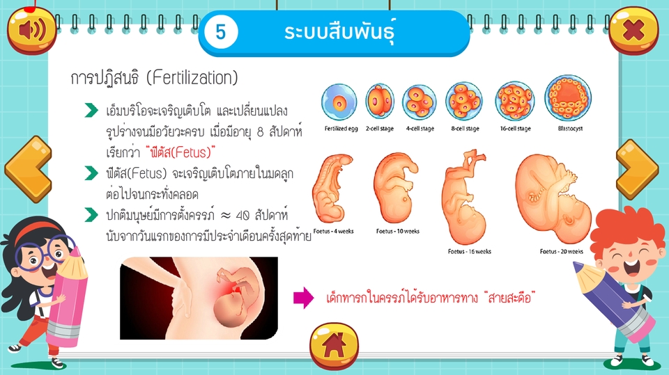 Animations - รับทำสื่อบทเรียนคอมพิวเตอร์ช่วยสอน CAI - 19