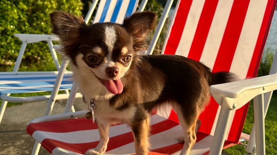 นางแบบมือ นางแบบเสื้อผ้า นายแบบเสื้อผ้า นางแบบแฟชั่น นายแบบแฟชั่น งานตัวประกอบ นางแบบ กรุงเทพฯ หานางแบบ กรุงเทพฯ หานายแบบ กรุงเทพฯ