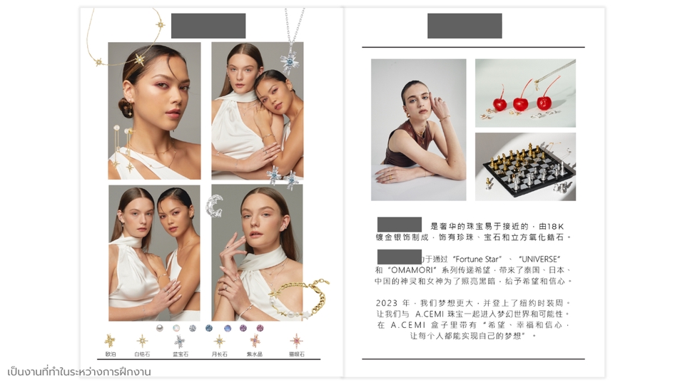 ออกแบบแคตตาล็อกสินค้าเครื่องประดับหรูหรา