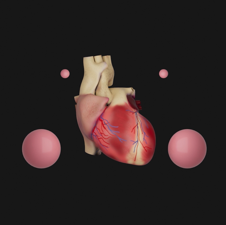 รับทำโมเดล3Dหัวใจแบบสมจริง 3D packshot โมเดลสินค้า งาน3มิติ