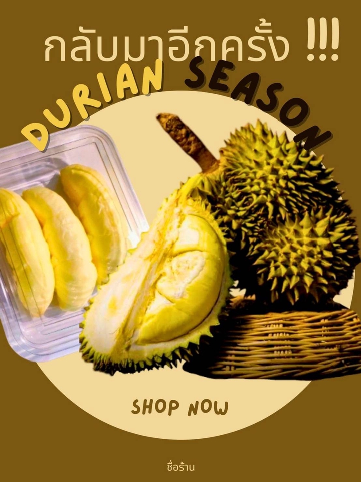 รับทำ infographic ราคาถูก ผลไม้ทุเรียน ฤดูกาลทุเรียน