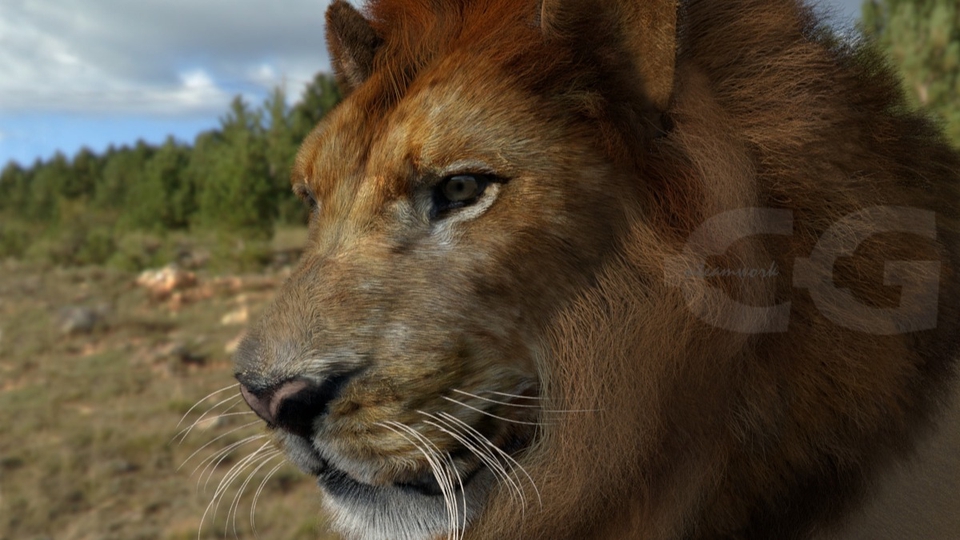 ทำโมเดล 3D - 3D / Product / Character - 24