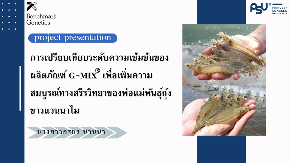 ออกแบบCanva ทำสไลด์นำเสนอผลงานวิจัยกุ้งขาวแวนนาไมด้วยG-MIX