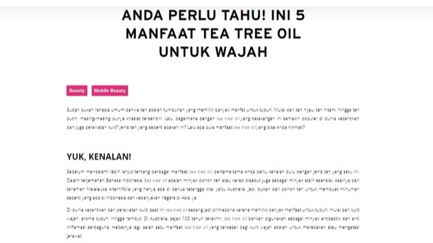 Penulisan Konten - Penulisan Artikel SEO Cepat 1 Hari Jadi, 100% Berkualitas, Beragam Niche, dan Bebas Plagiasi - 8