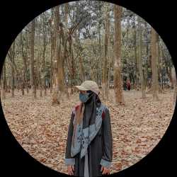 hellodesni