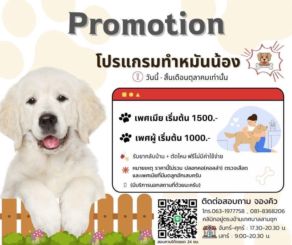 สื่อสิ่งพิมพ์และนามบัตร - รับออกแบบ รับทำโปสเตอร์  โฆษณา นามบัตร และอื่นๆ (ปรับแก้งานได้จนกว่าลูกค้าจะพอใจ) - 15